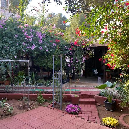Betul Guest House Famagusta  Exterior foto